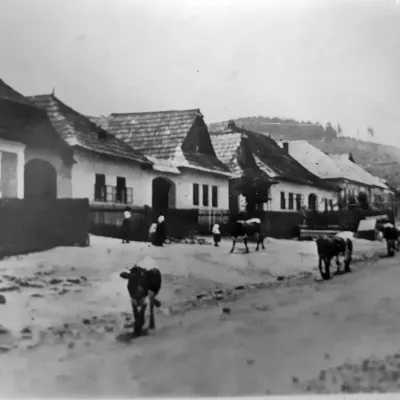 Гора Звір