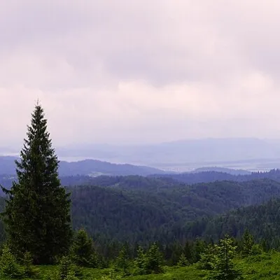 Ochotnica Górna