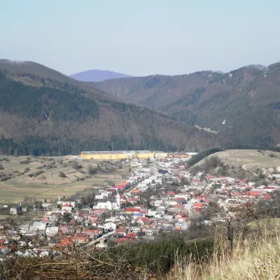 Раєцька Лесна