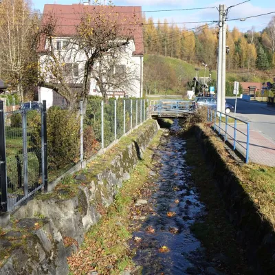 Tylka