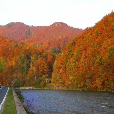 Tylmanowa
