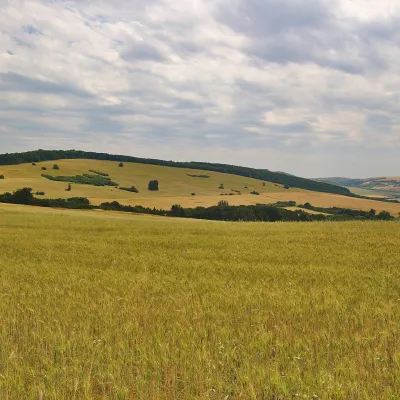 Округ Миява