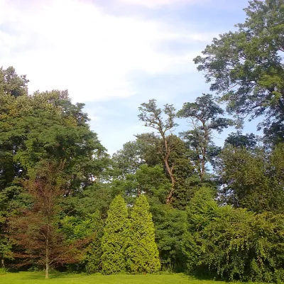 Wysoka