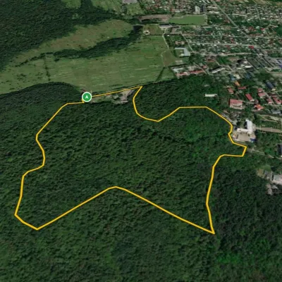 nr 5007 Morszyn: nordic walking
