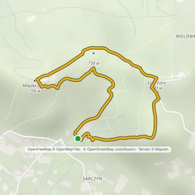 Miejska Góra Loop – Łysa Góra