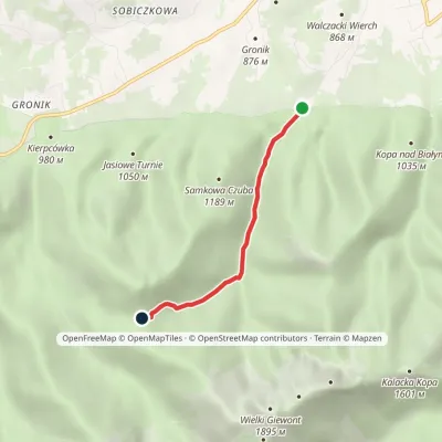 Dolina Strążyska – Przełęcz w Grzybowcu