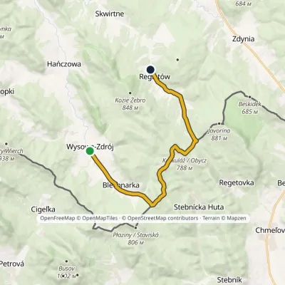 Wysowa-Zdrój – Regietów