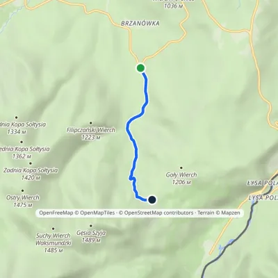 Zazadnia – Rusinowa Polana