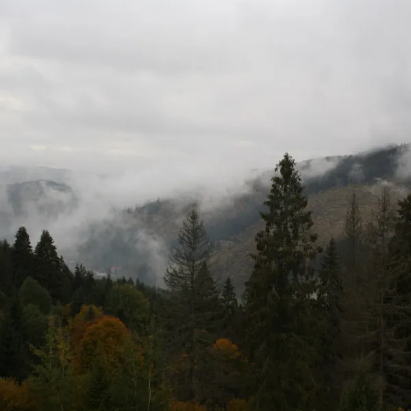 Route: Mykulychyn – Kichera Ridge – Synevyr Pass – Mount Kam'yanka (1496 m) – Mount Ozerna (1578 m) – Lake Synevyr. Total length of the route – 24 km