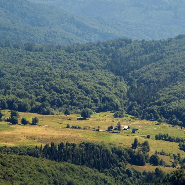 Local geographical terms of the Ukrainian Carpathians
