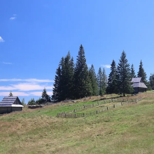 Shepherd's Hut on Rusinowa Polana
