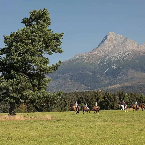 Kone vo Východnej: horse rides below the Tatras