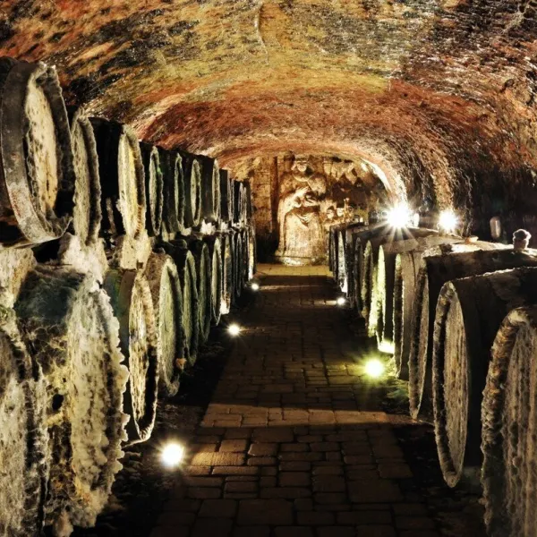 J&J Ostrožovič Winery, Veľká Tŕňa: Tokaj tasting 13 m underground