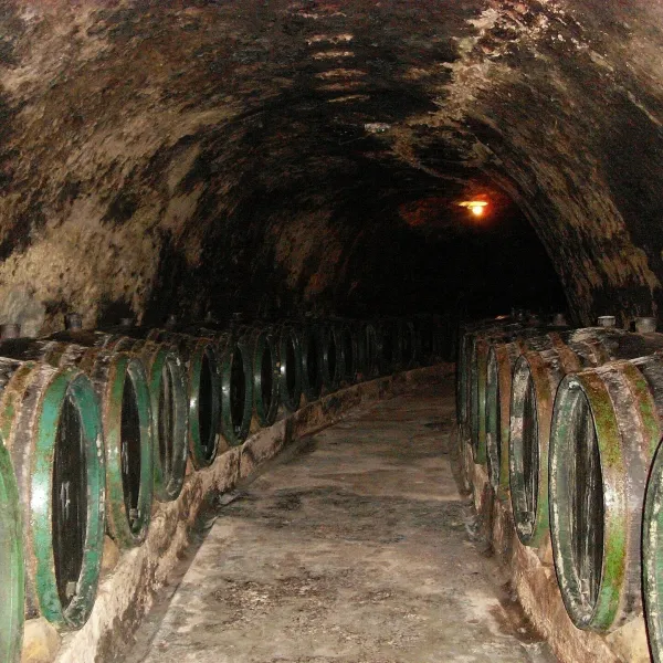 Tokaj & CO w Malej Tŕni: degustacja w piwnicy długości 2,5 km