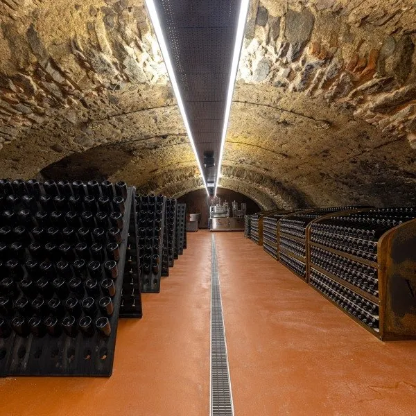 VIAJUR winery in Svätý Jur: tastings in the Pálffy cellars