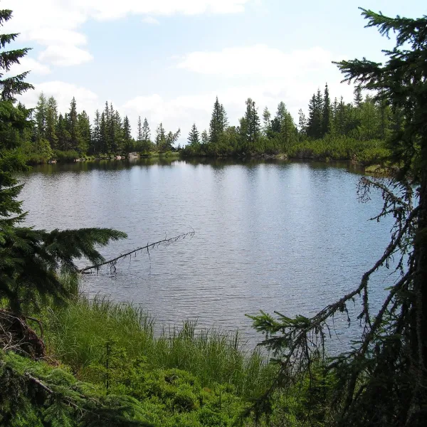 Jamské pleso