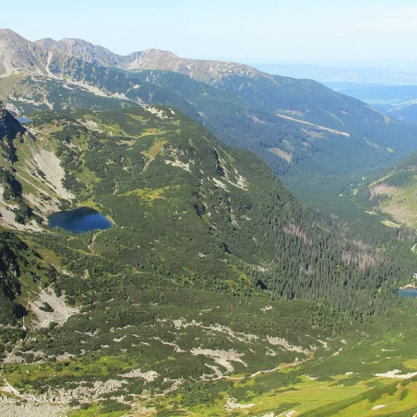 Рогацькі плеса