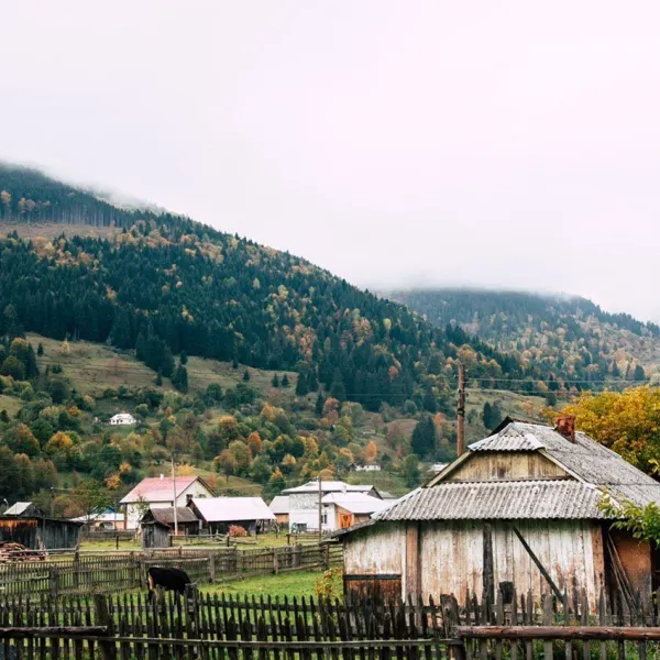 Bilasovytsi Cheese Dairy, Bilasovytsia