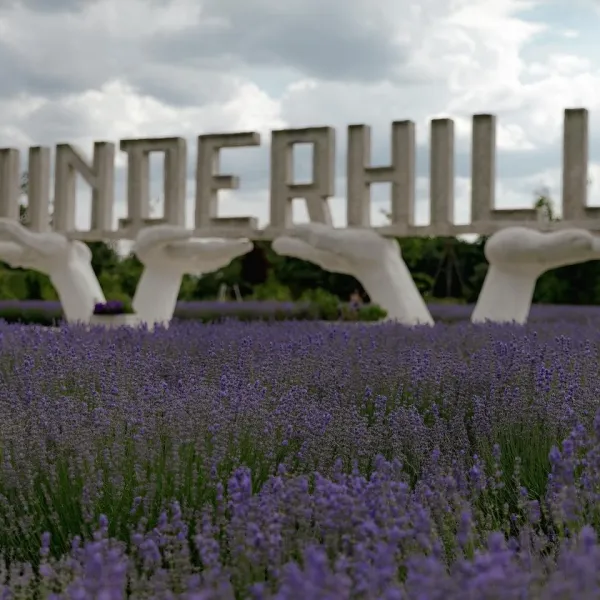 Парк Історії Землі «Underhill», Підгір’я