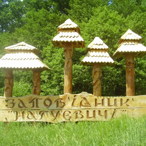 Państwowy rezerwat historyczno-kulturowy Naguyevychi