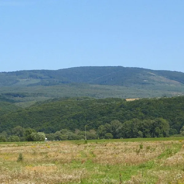 Mount Antalovetska Polyana