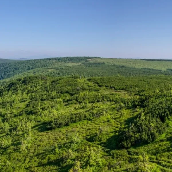 Mount Komanova