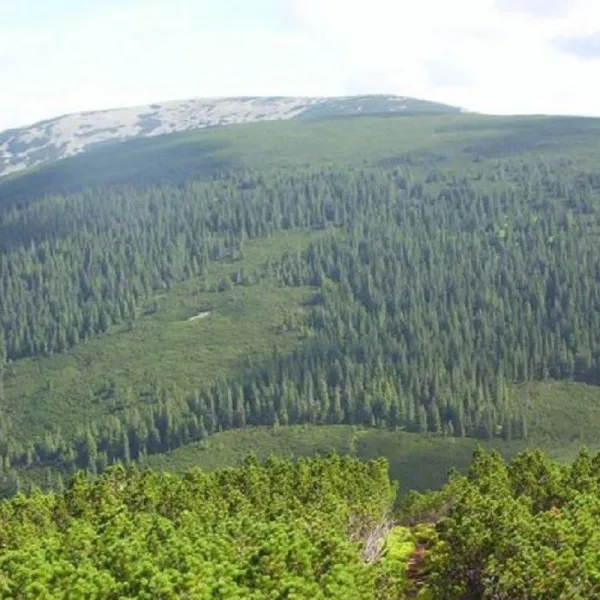 Гора Коретвина