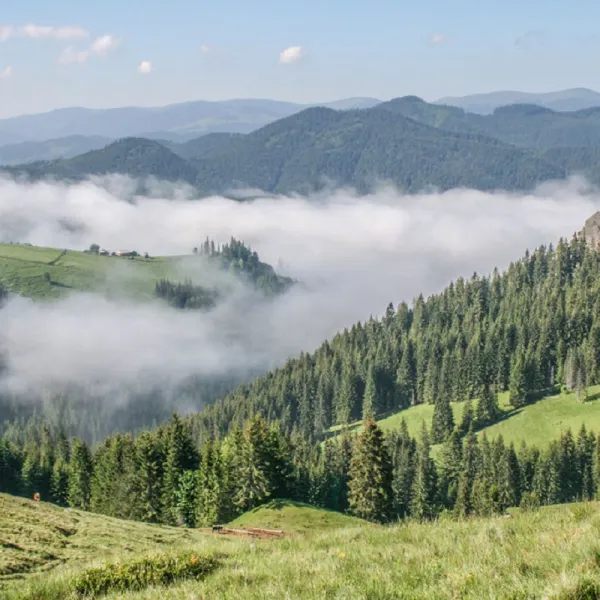 Góra Pryluchna