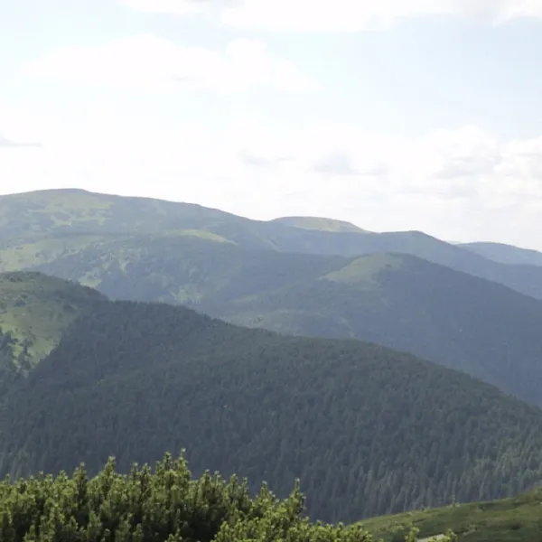Гора Руська