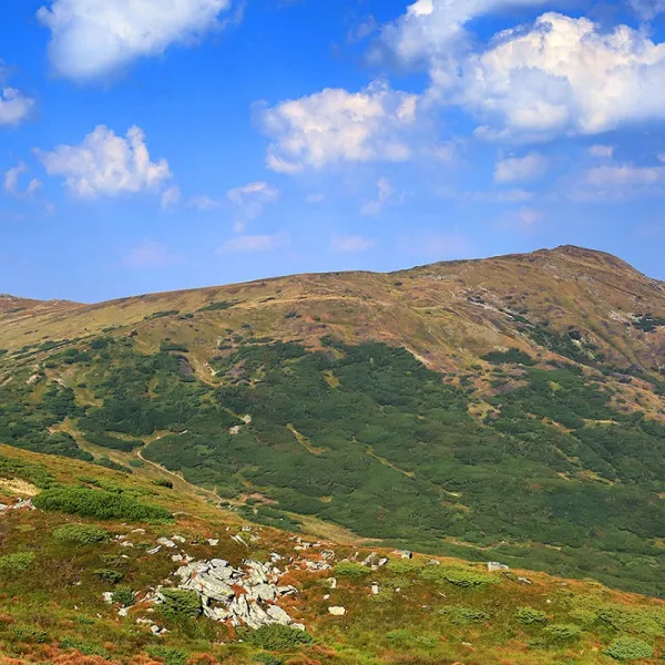 Mount Smotrych