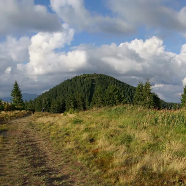 Góra Stih