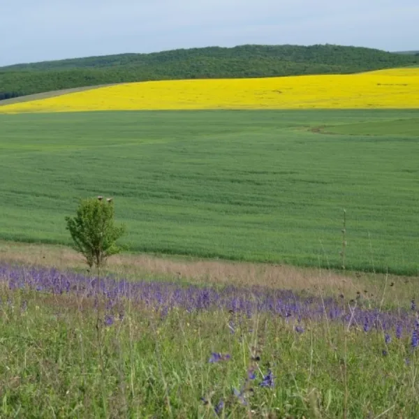 Muzeum "Natura Ziemi Galicyjskiej" Narodowego Parku Przyrodniczego Halińskiego