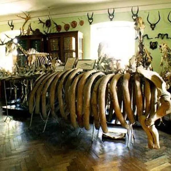 Ludowe Muzeum Zoologiczne Lwowskiego Uniwersytetu Narodowego im. Iwana Franki