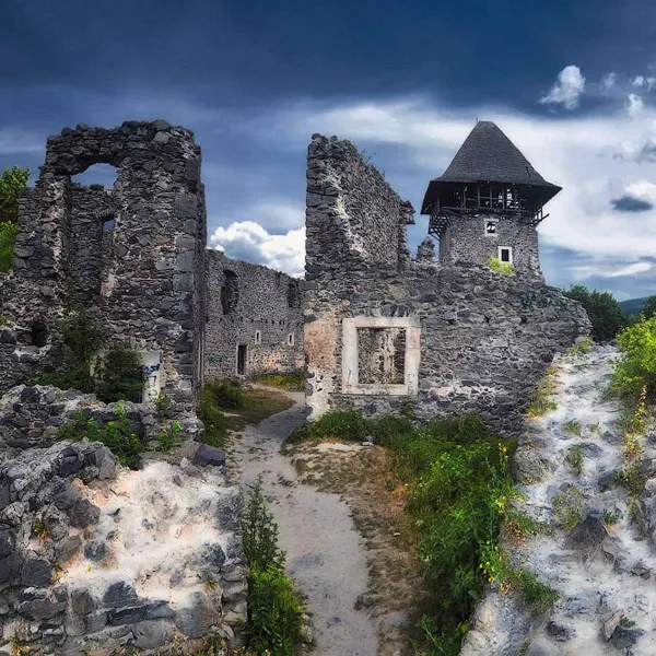 Невицький замок