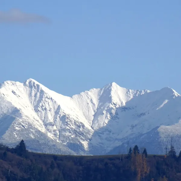 Baníkov