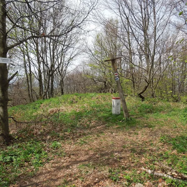 Черенін