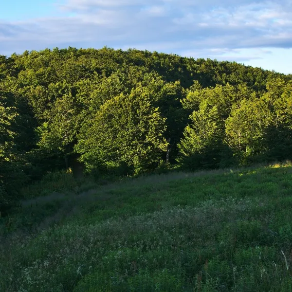 Каменна