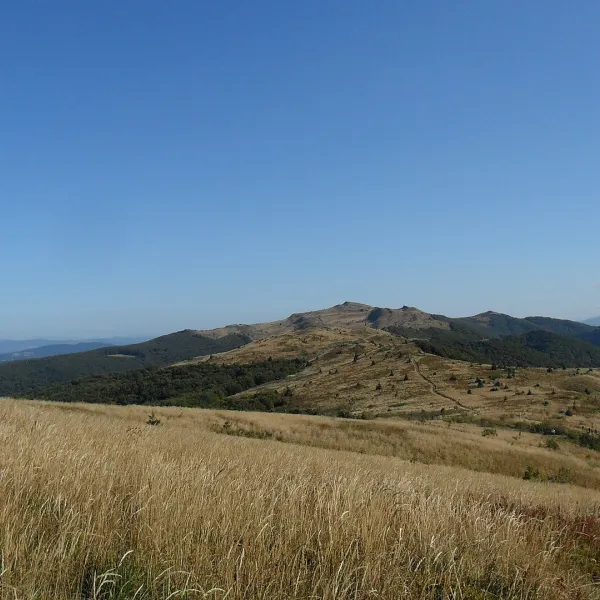 Гора Кінчик Буковський