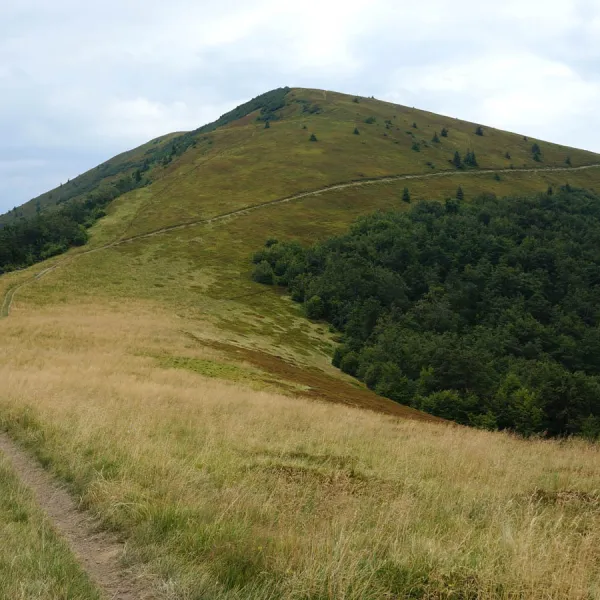 Góra Kuk