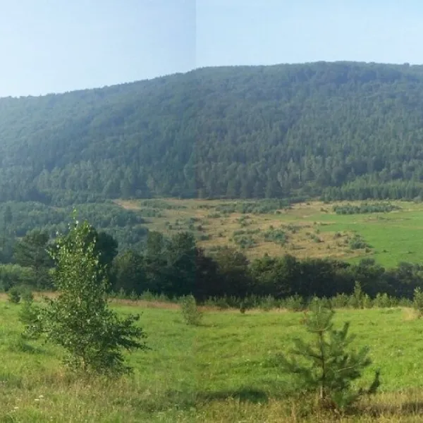Лацкова