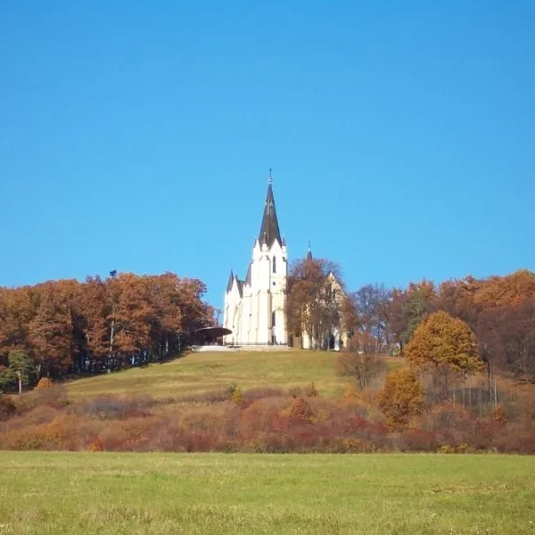 Mariánska hora
