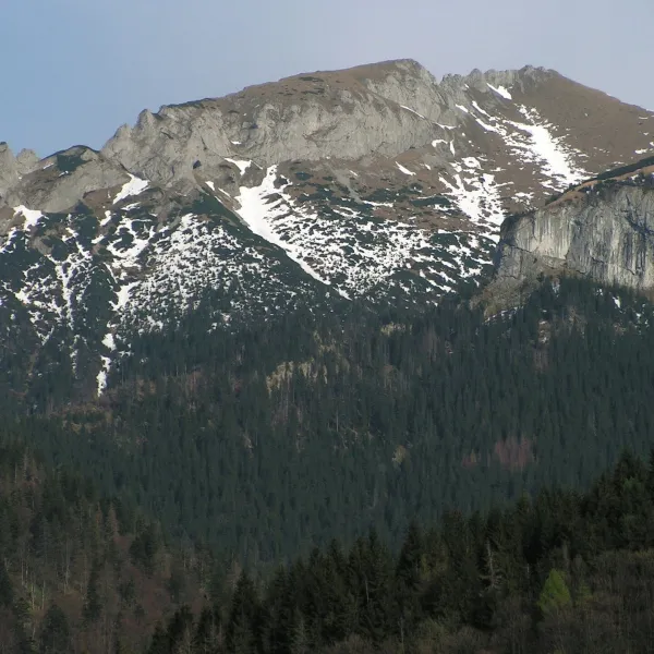 Nový
