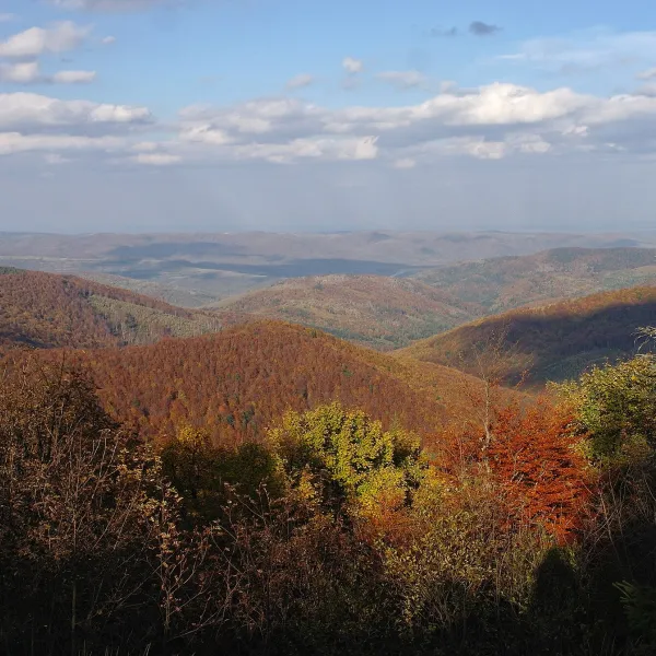 Mount Obroslyi Verkh