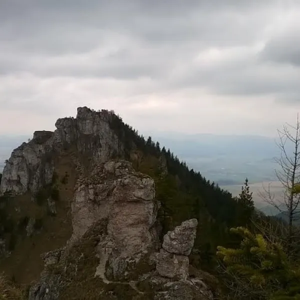 Ostrá