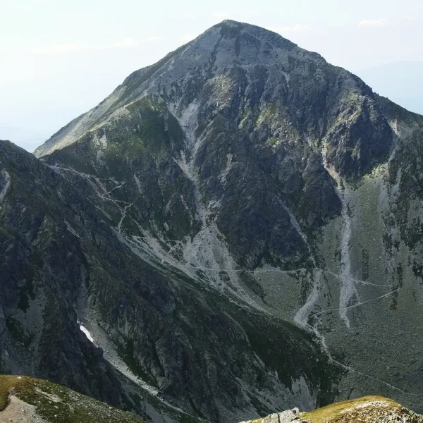 Pachoł