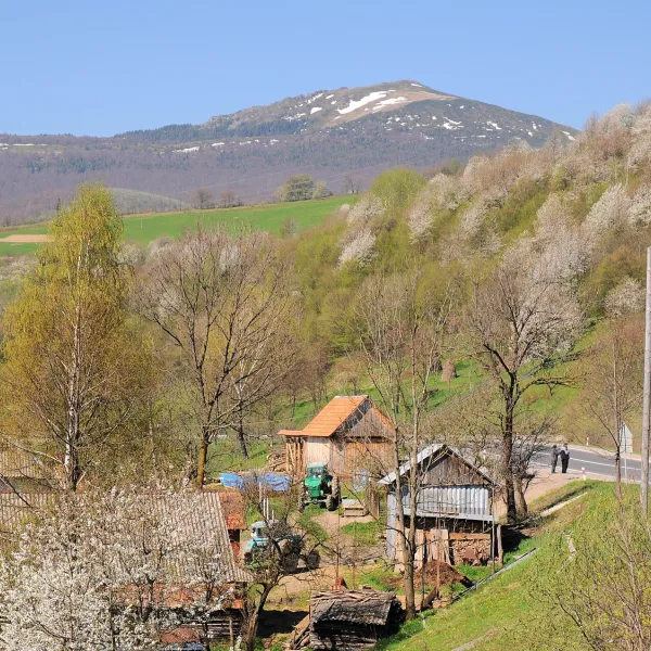 Гора Пікуй