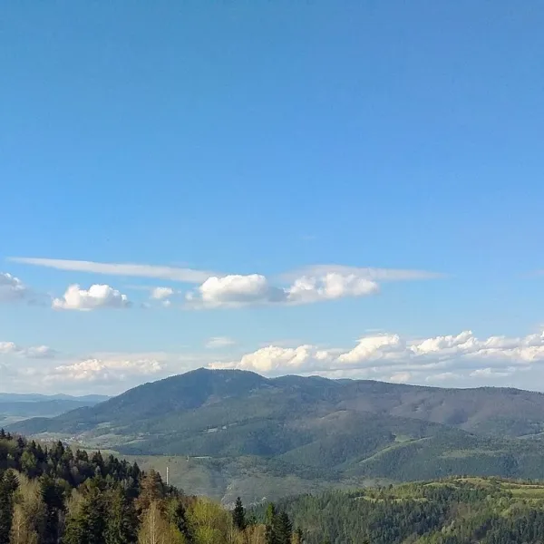 Sľubica