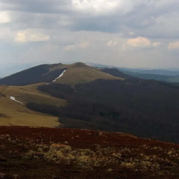 Гора Старостина