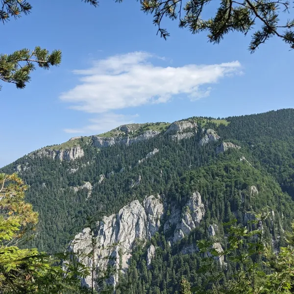 Tlstá