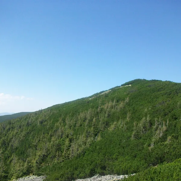 Гора Товста
